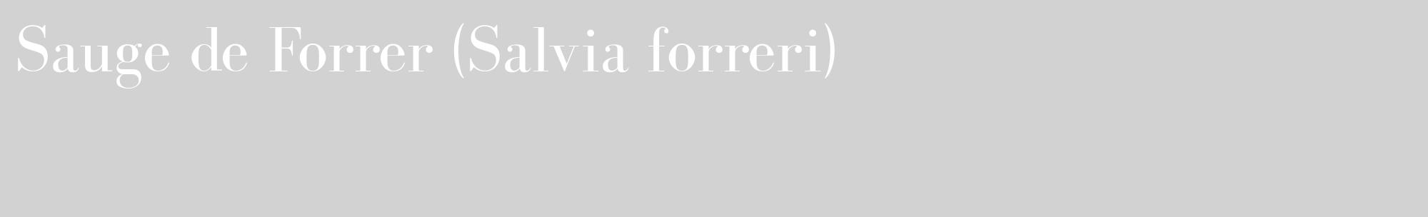Étiquette de : Salvia forreri - format c - style blanche14_basique_basiquebod avec comestibilité