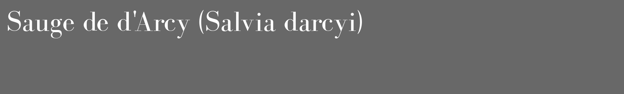 Étiquette de : Salvia darcyi - format c - style blanche6_basique_basiquebod avec comestibilité