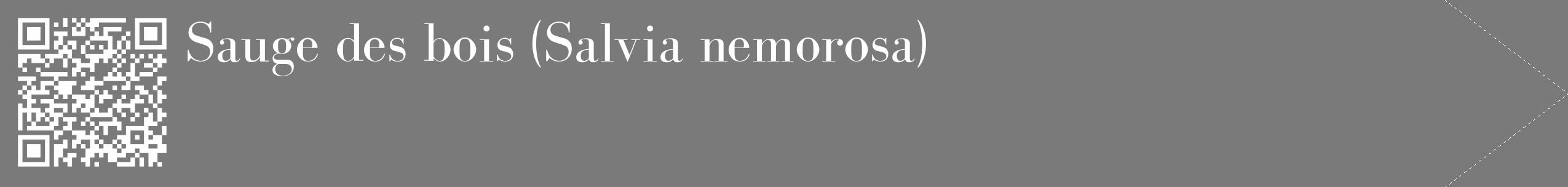 Étiquette de : Salvia nemorosa - format c - style blanche3_simple_simplebod avec qrcode et comestibilité
