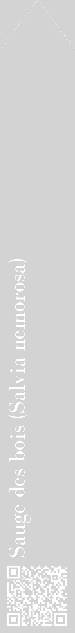 Étiquette de : Salvia nemorosa - format c - style blanche56_simplebod avec qrcode et comestibilité