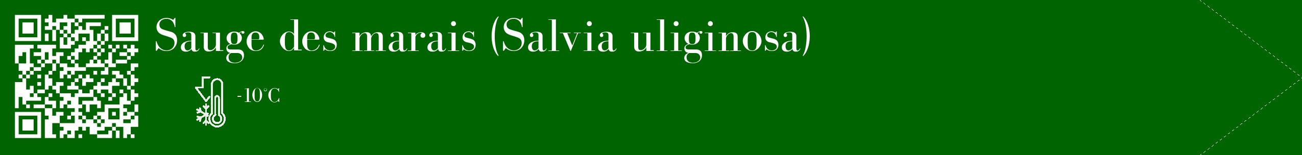 Étiquette de : Salvia uliginosa - format c - style blanche8_simple_simplebod avec qrcode et comestibilité
