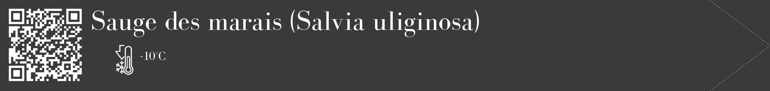 Étiquette de : Salvia uliginosa - format c - style blanche8_simple_simplebod avec qrcode et comestibilité