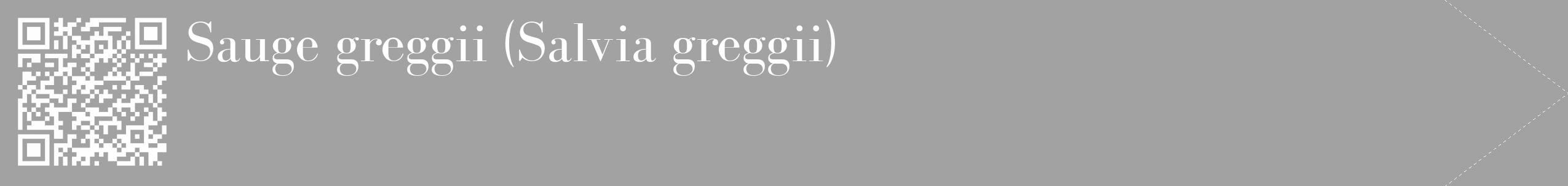 Étiquette de : Salvia greggii - format c - style blanche38_simple_simplebod avec qrcode et comestibilité