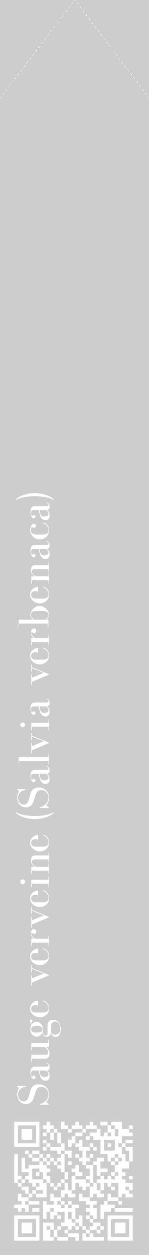 Étiquette de : Salvia verbenaca - format c - style blanche41_simple_simplebod avec qrcode et comestibilité - position verticale