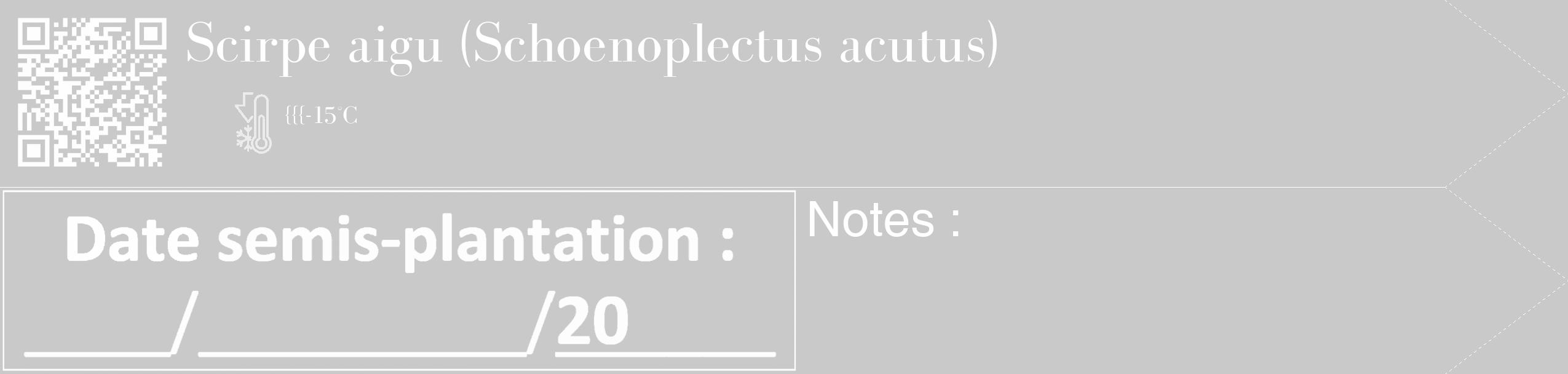 Étiquette de : Schoenoplectus acutus - format c - style blanche54_simple_simplebod avec qrcode et comestibilité