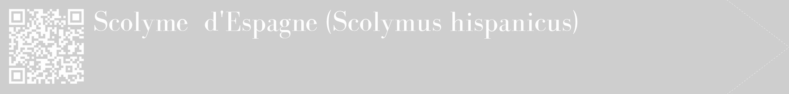 Étiquette de : Scolymus hispanicus - format c - style blanche17_simple_simplebod avec qrcode et comestibilité