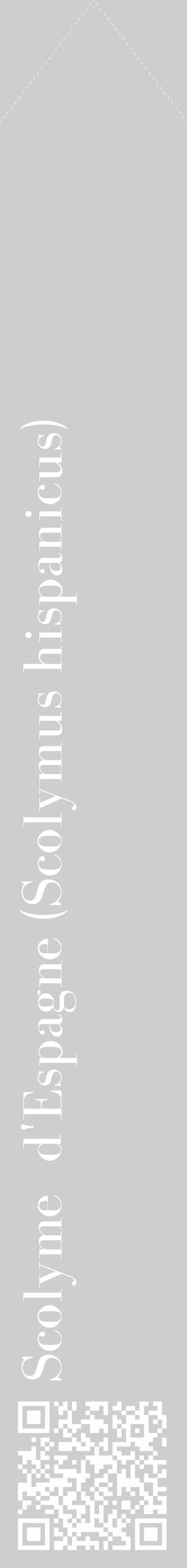 Étiquette de : Scolymus hispanicus - format c - style blanche17_simple_simplebod avec qrcode et comestibilité - position verticale