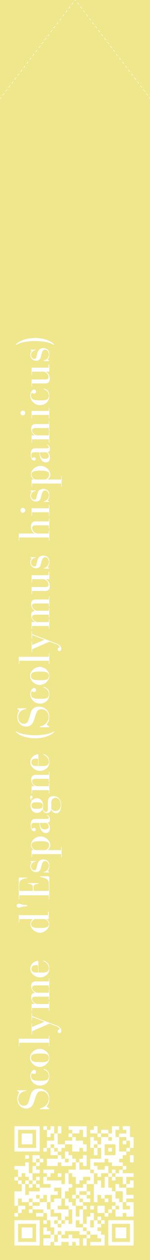 Étiquette de : Scolymus hispanicus - format c - style blanche20_simplebod avec qrcode et comestibilité