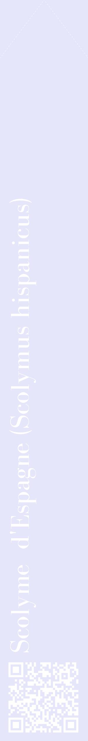 Étiquette de : Scolymus hispanicus - format c - style blanche55_simplebod avec qrcode et comestibilité