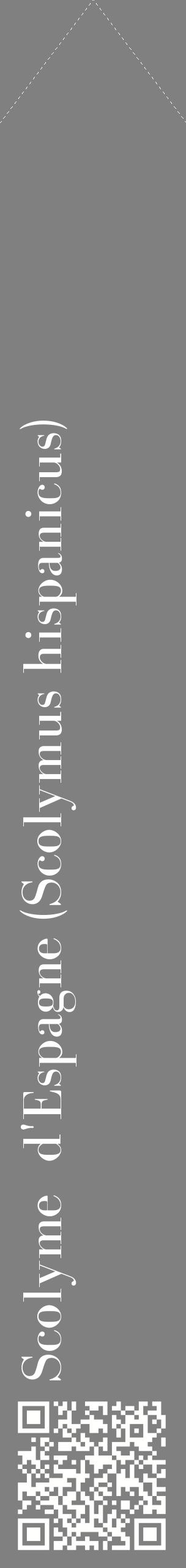 Étiquette de : Scolymus hispanicus - format c - style blanche57_simplebod avec qrcode et comestibilité