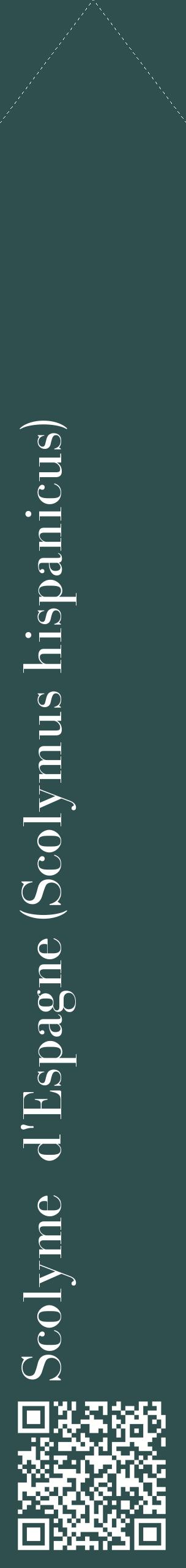 Étiquette de : Scolymus hispanicus - format c - style blanche58_simplebod avec qrcode et comestibilité