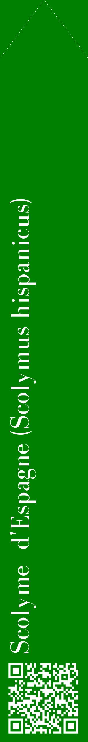 Étiquette de : Scolymus hispanicus - format c - style blanche9_simplebod avec qrcode et comestibilité
