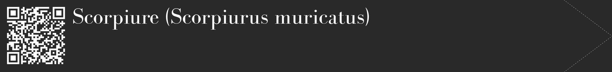 Étiquette de : Scorpiurus muricatus - format c - style blanche34_simple_simplebod avec qrcode et comestibilité