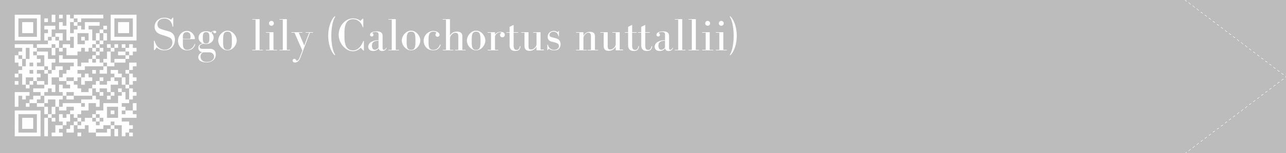 Étiquette de : Calochortus nuttallii - format c - style blanche1_simple_simplebod avec qrcode et comestibilité