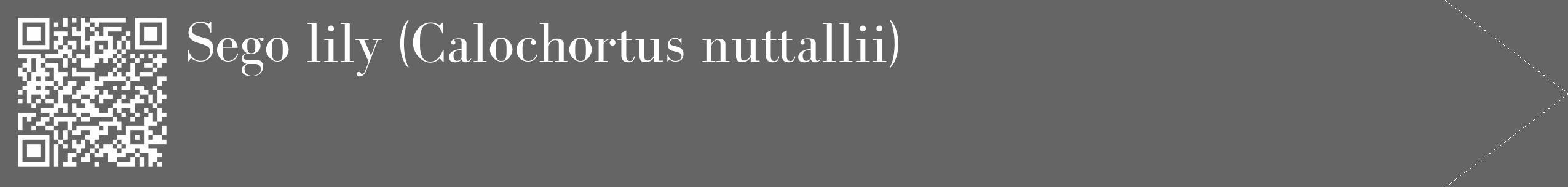 Étiquette de : Calochortus nuttallii - format c - style blanche32_simple_simplebod avec qrcode et comestibilité