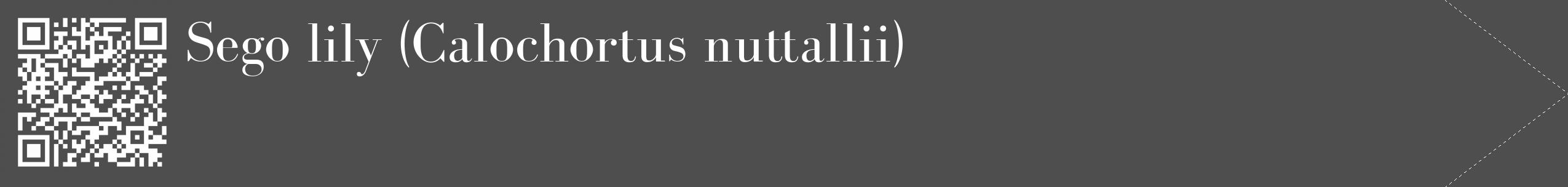 Étiquette de : Calochortus nuttallii - format c - style blanche33_simple_simplebod avec qrcode et comestibilité