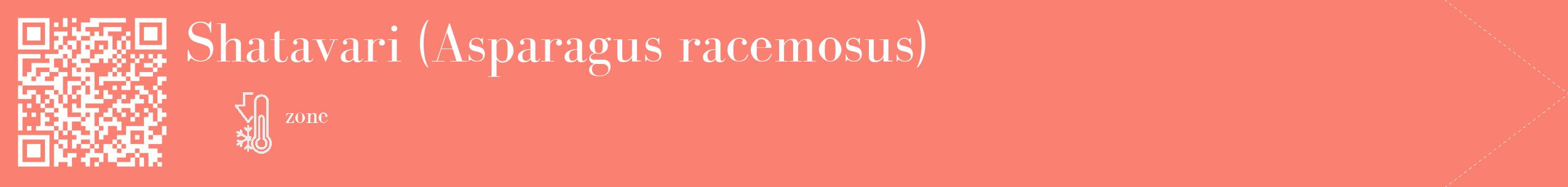 Étiquette de : Asparagus racemosus - format c - style blanche38_simple_simplebod avec qrcode et comestibilité