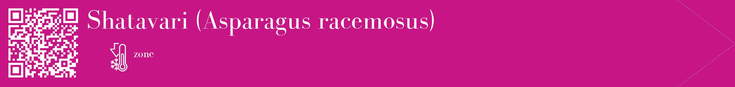 Étiquette de : Asparagus racemosus - format c - style blanche45_simple_simplebod avec qrcode et comestibilité