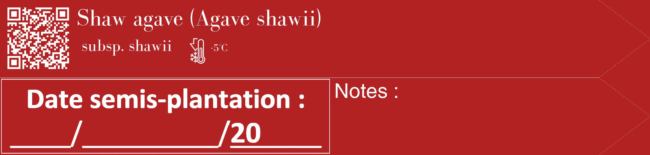 Étiquette de : Agave shawii subsp. shawii - format c - style blanche28_simple_simplebod avec qrcode et comestibilité