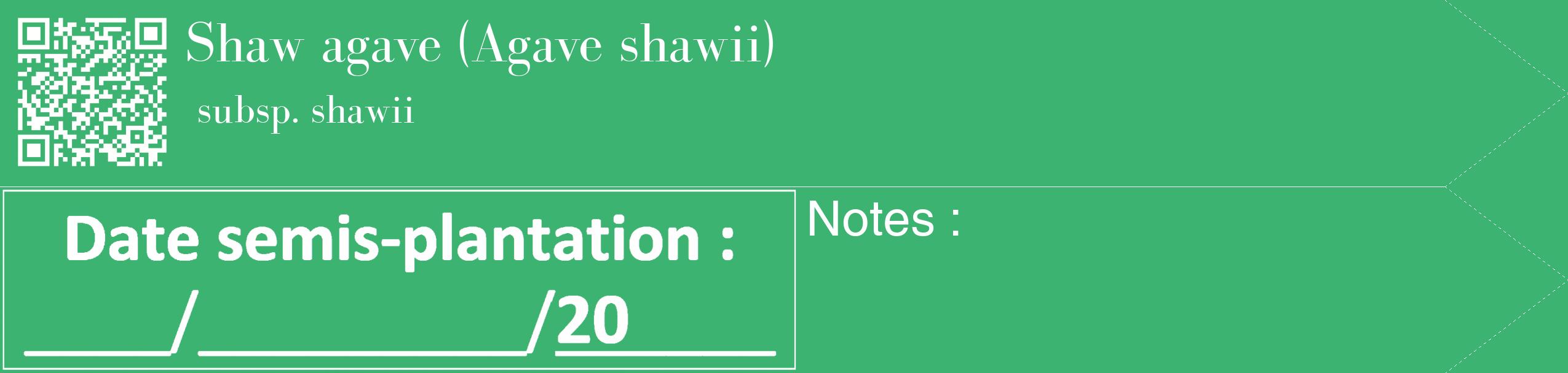 Étiquette de : Agave shawii subsp. shawii - format c - style blanche12_simple_simplebod avec qrcode et comestibilité