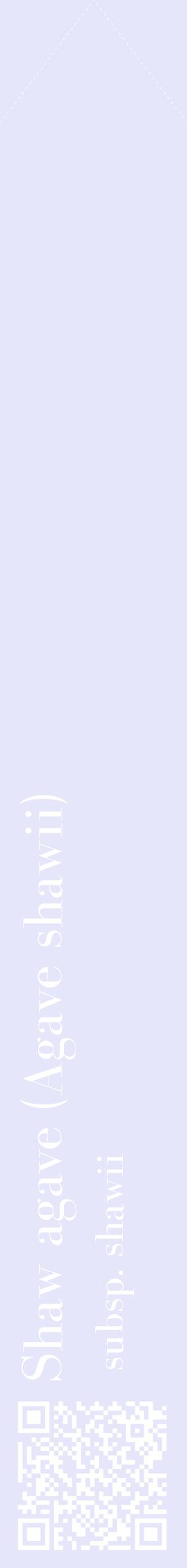Étiquette de : Agave shawii subsp. shawii - format c - style blanche55_simplebod avec qrcode et comestibilité