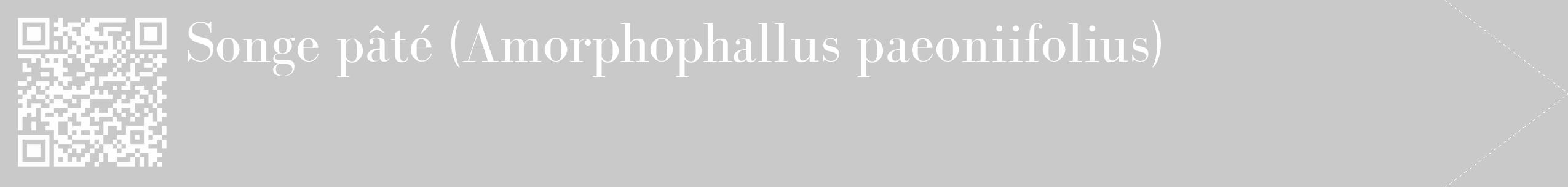 Étiquette de : Amorphophallus paeoniifolius - format c - style blanche54_simple_simplebod avec qrcode et comestibilité