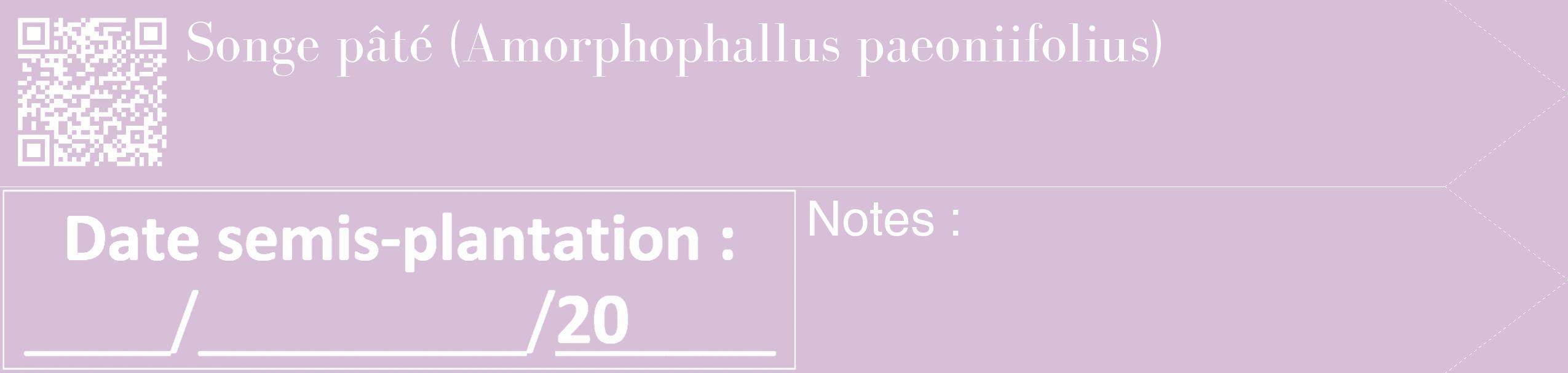 Étiquette de : Amorphophallus paeoniifolius - format c - style blanche54_simple_simplebod avec qrcode et comestibilité