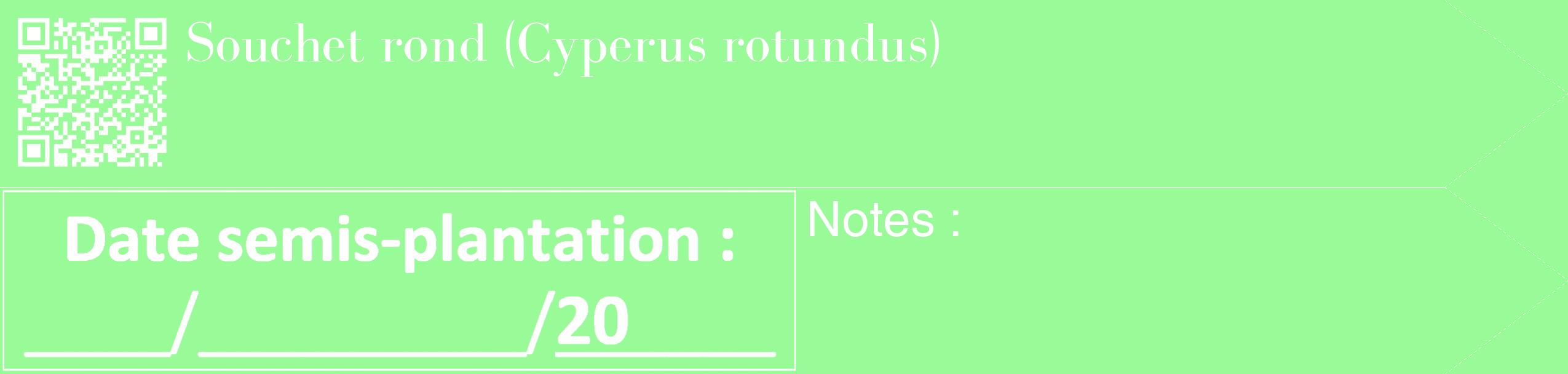 Étiquette de : Cyperus rotundus - format c - style blanche14_simple_simplebod avec qrcode et comestibilité