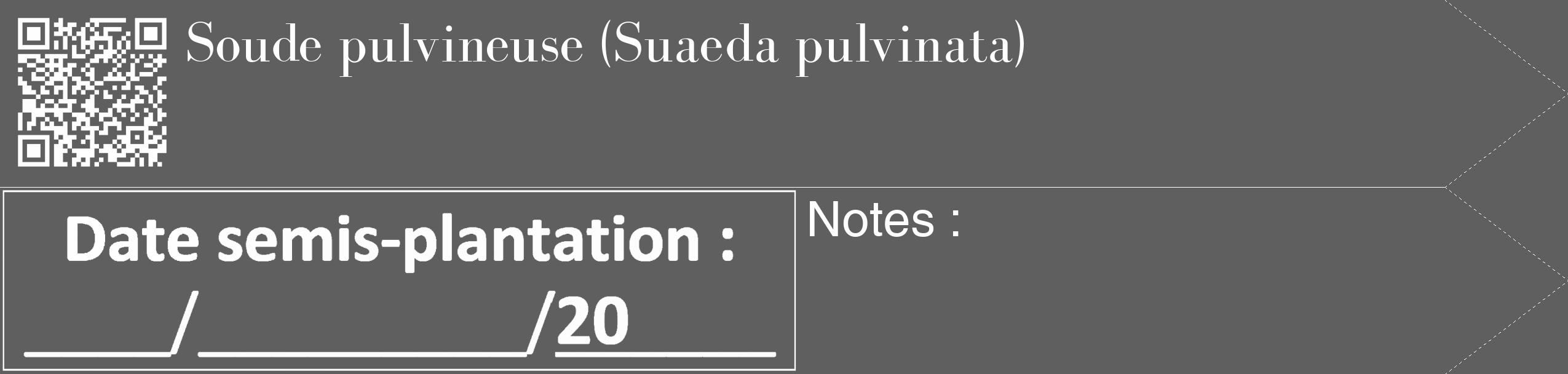 Étiquette de : Suaeda pulvinata - format c - style blanche10_simple_simplebod avec qrcode et comestibilité
