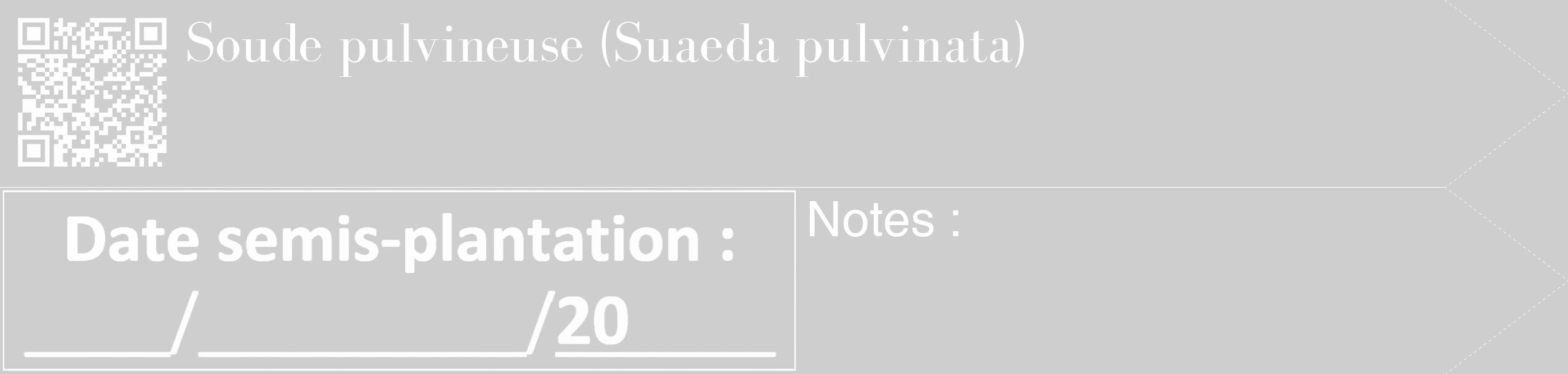 Étiquette de : Suaeda pulvinata - format c - style blanche17_simple_simplebod avec qrcode et comestibilité