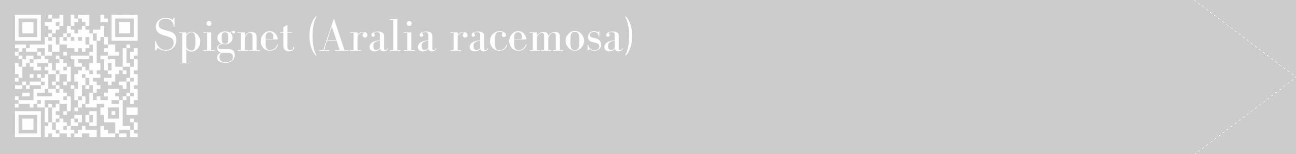 Étiquette de : Aralia racemosa - format c - style blanche0_simple_simplebod avec qrcode et comestibilité