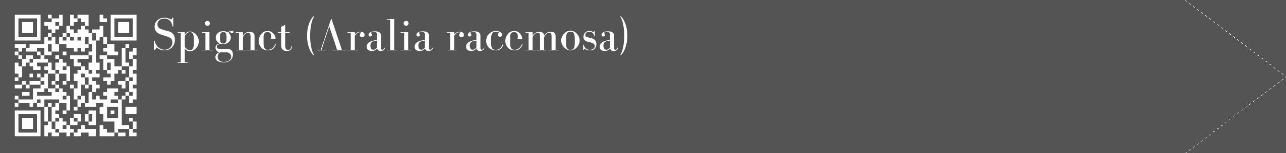 Étiquette de : Aralia racemosa - format c - style blanche36_simple_simplebod avec qrcode et comestibilité