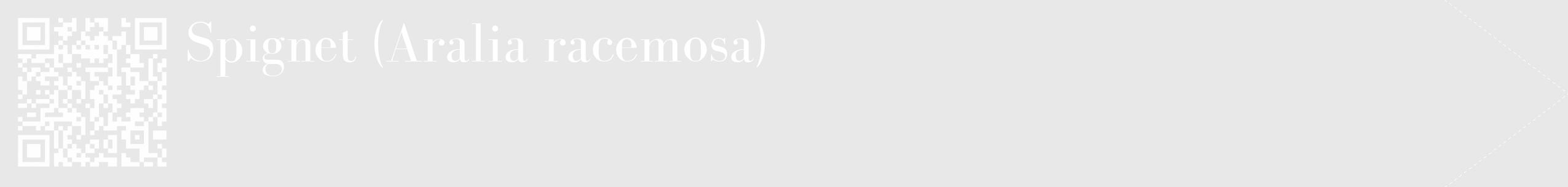 Étiquette de : Aralia racemosa - format c - style blanche55_simple_simplebod avec qrcode et comestibilité