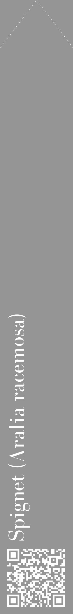 Étiquette de : Aralia racemosa - format c - style blanche16_simple_simplebod avec qrcode et comestibilité - position verticale