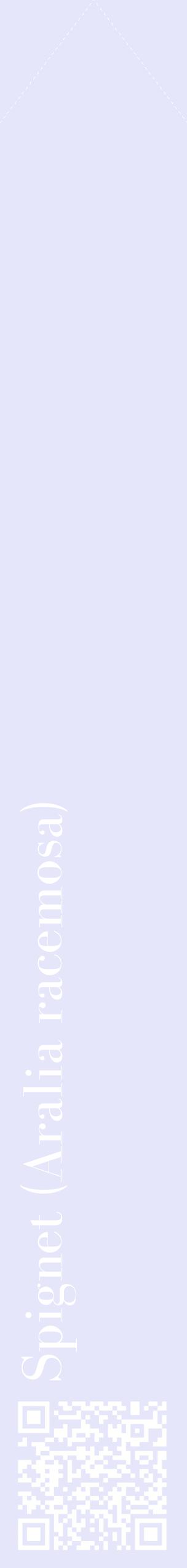 Étiquette de : Aralia racemosa - format c - style blanche55_simplebod avec qrcode et comestibilité