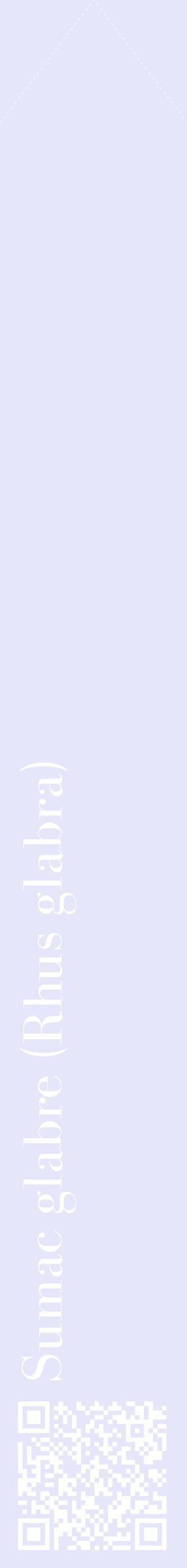 Étiquette de : Rhus glabra - format c - style blanche55_simplebod avec qrcode et comestibilité
