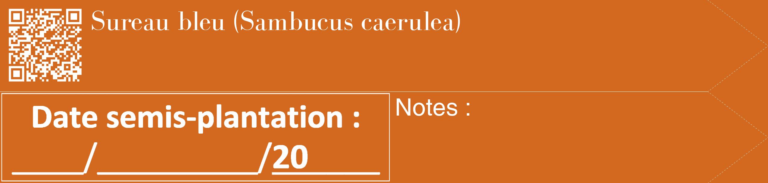Étiquette de : Sambucus caerulea - format c - style blanche31_simple_simplebod avec qrcode et comestibilité