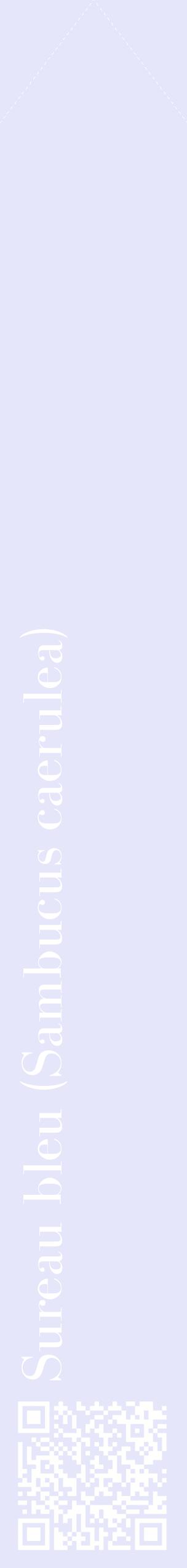 Étiquette de : Sambucus caerulea - format c - style blanche55_simplebod avec qrcode et comestibilité