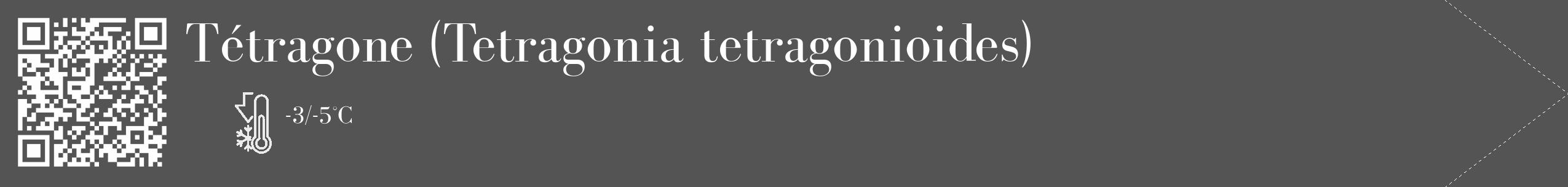 Étiquette de : Tetragonia tetragonioides - format c - style blanche36_simple_simplebod avec qrcode et comestibilité