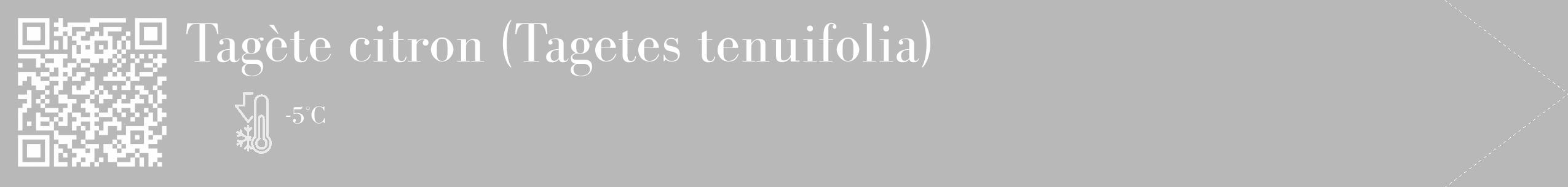 Étiquette de : Tagetes tenuifolia - format c - style blanche39_simple_simplebod avec qrcode et comestibilité