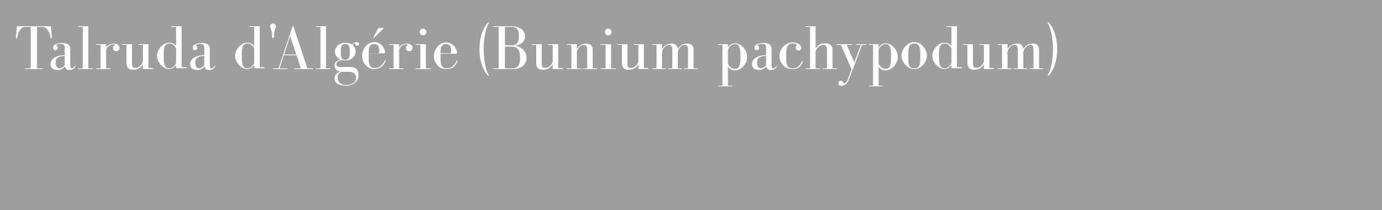 Étiquette de : Bunium pachypodum - format c - style blanche23_basique_basiquebod avec comestibilité