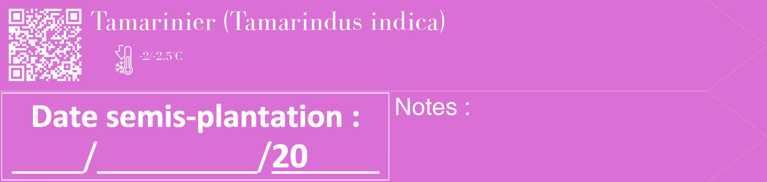 Étiquette de : Tamarindus indica - format c - style blanche52_simple_simplebod avec qrcode et comestibilité