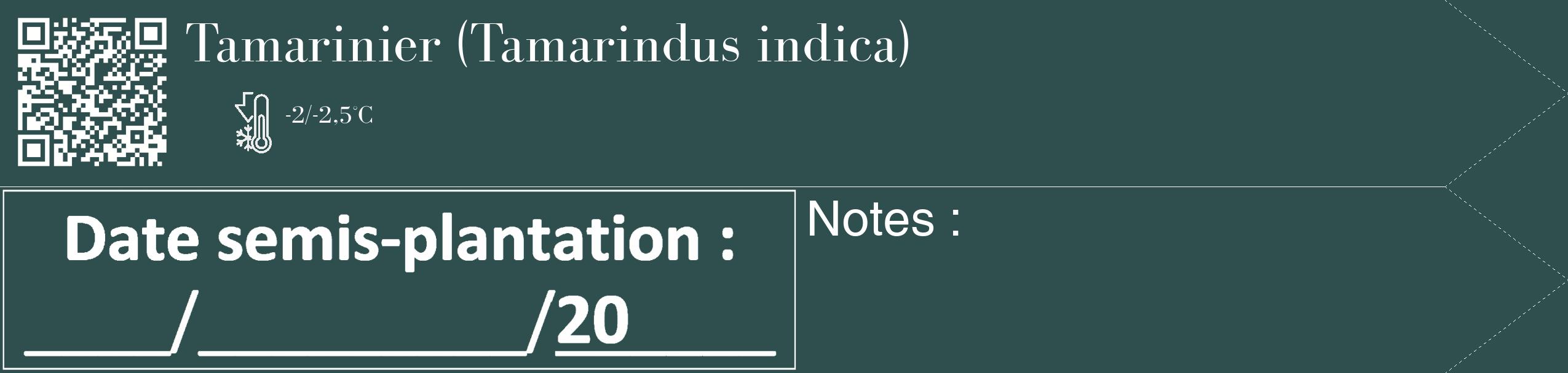 Étiquette de : Tamarindus indica - format c - style blanche58_simple_simplebod avec qrcode et comestibilité
