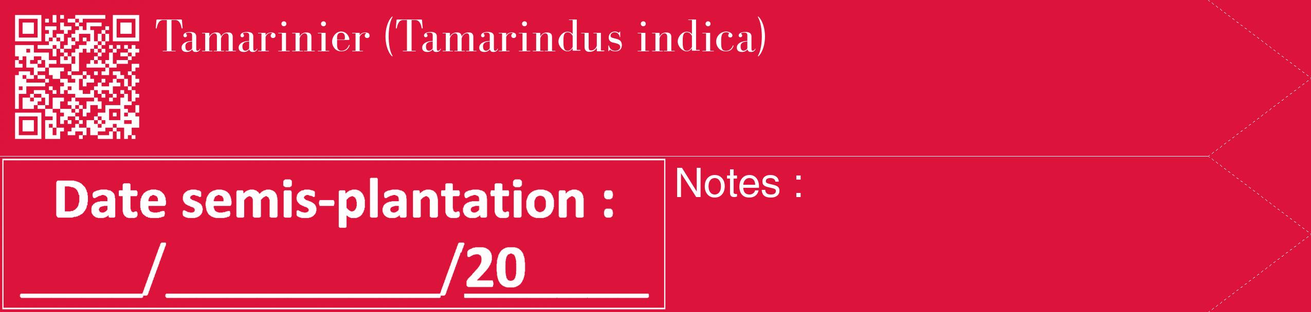 Étiquette de : Tamarindus indica - format c - style blanche36_simple_simplebod avec qrcode et comestibilité