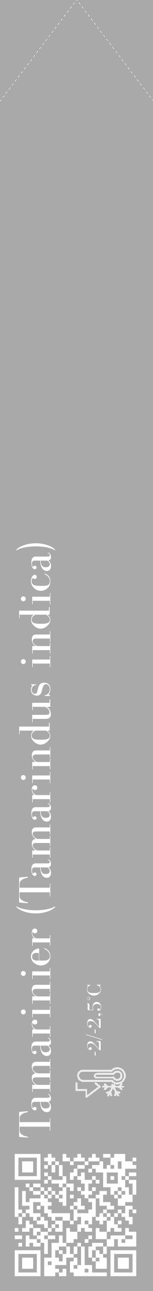 Étiquette de : Tamarindus indica - format c - style blanche13_simple_simplebod avec qrcode et comestibilité - position verticale