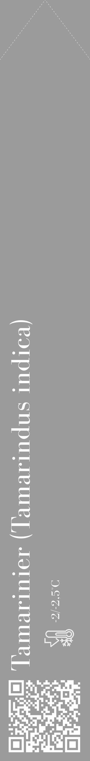 Étiquette de : Tamarindus indica - format c - style blanche52_simple_simplebod avec qrcode et comestibilité - position verticale