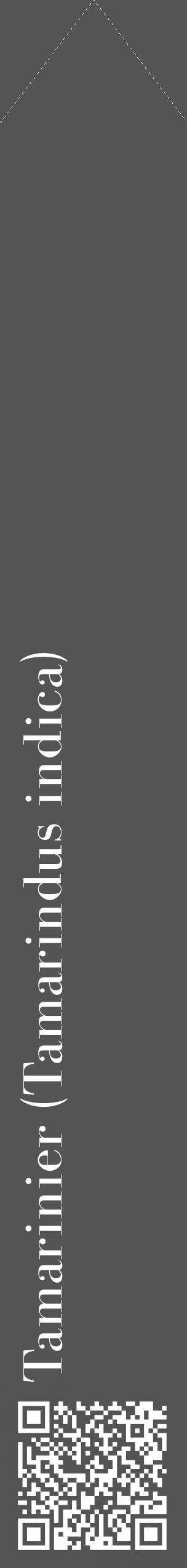 Étiquette de : Tamarindus indica - format c - style blanche36_simple_simplebod avec qrcode et comestibilité - position verticale