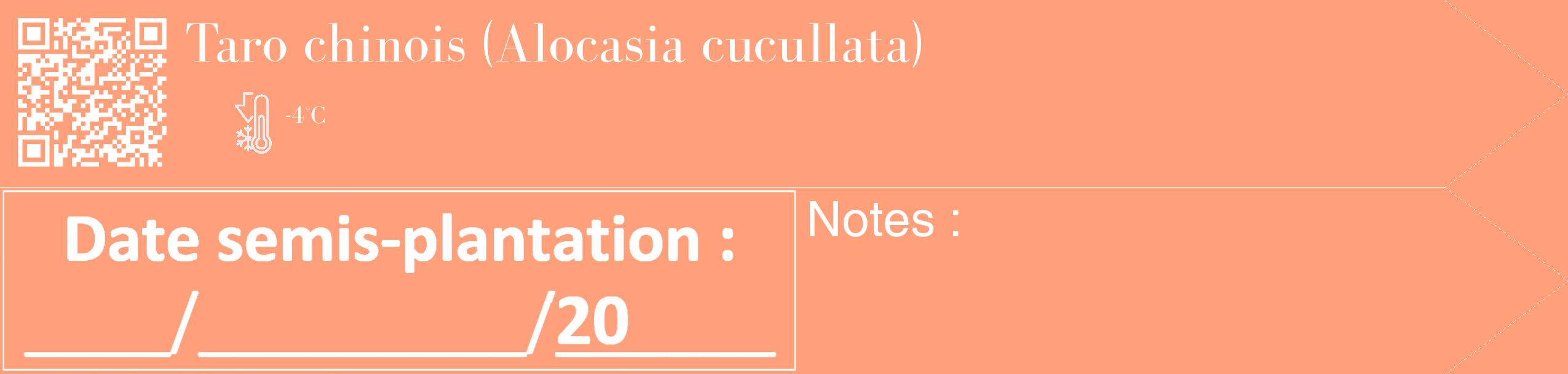 Étiquette de : Alocasia cucullata - format c - style blanche39_simple_simplebod avec qrcode et comestibilité