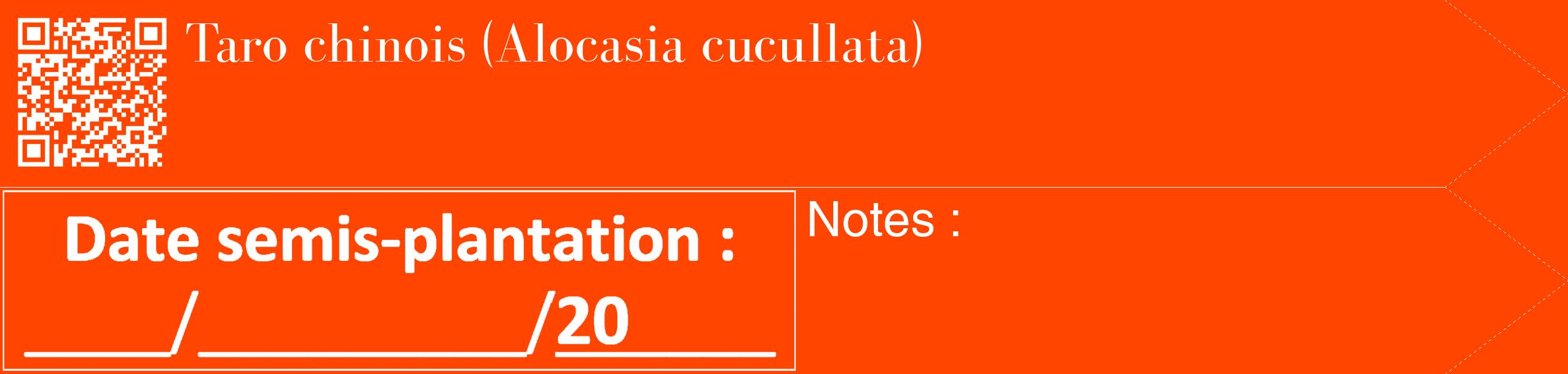 Étiquette de : Alocasia cucullata - format c - style blanche26_simple_simplebod avec qrcode et comestibilité