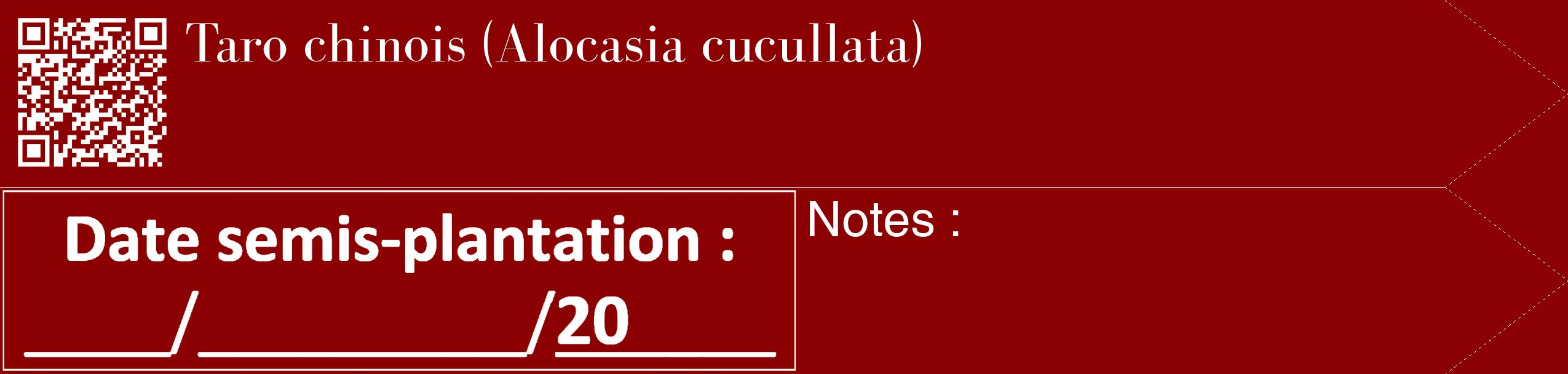Étiquette de : Alocasia cucullata - format c - style blanche34_simple_simplebod avec qrcode et comestibilité
